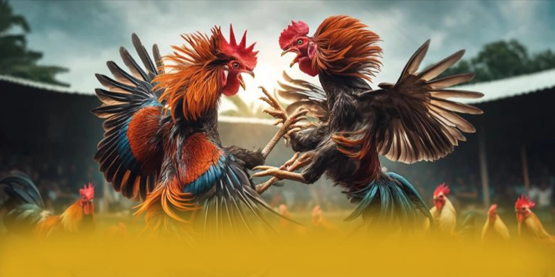 BET88 - Đánh giá tổng thể một cách tổng quan.