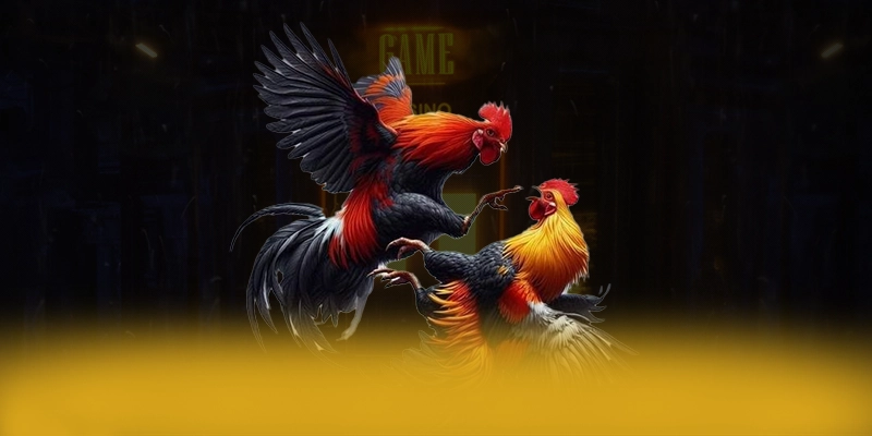 Tìm hiểu [THUONG_HIEU] - Trang game được tin dùng hiện nay