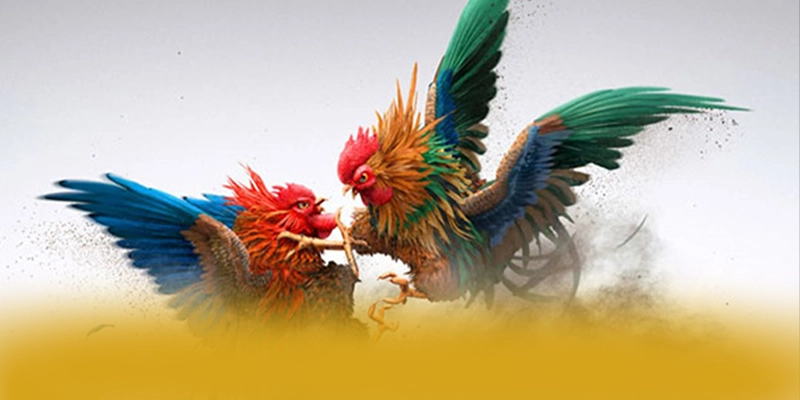 Khuyến mãi giá trị lớn dành cho tất cả người chơi tại 8XBET Khuyến mãi giá trị lớn dành cho tất cả người chơi tại 8XBET