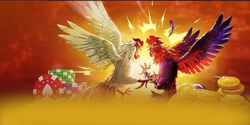 Nhận xét từ game thủ về W88